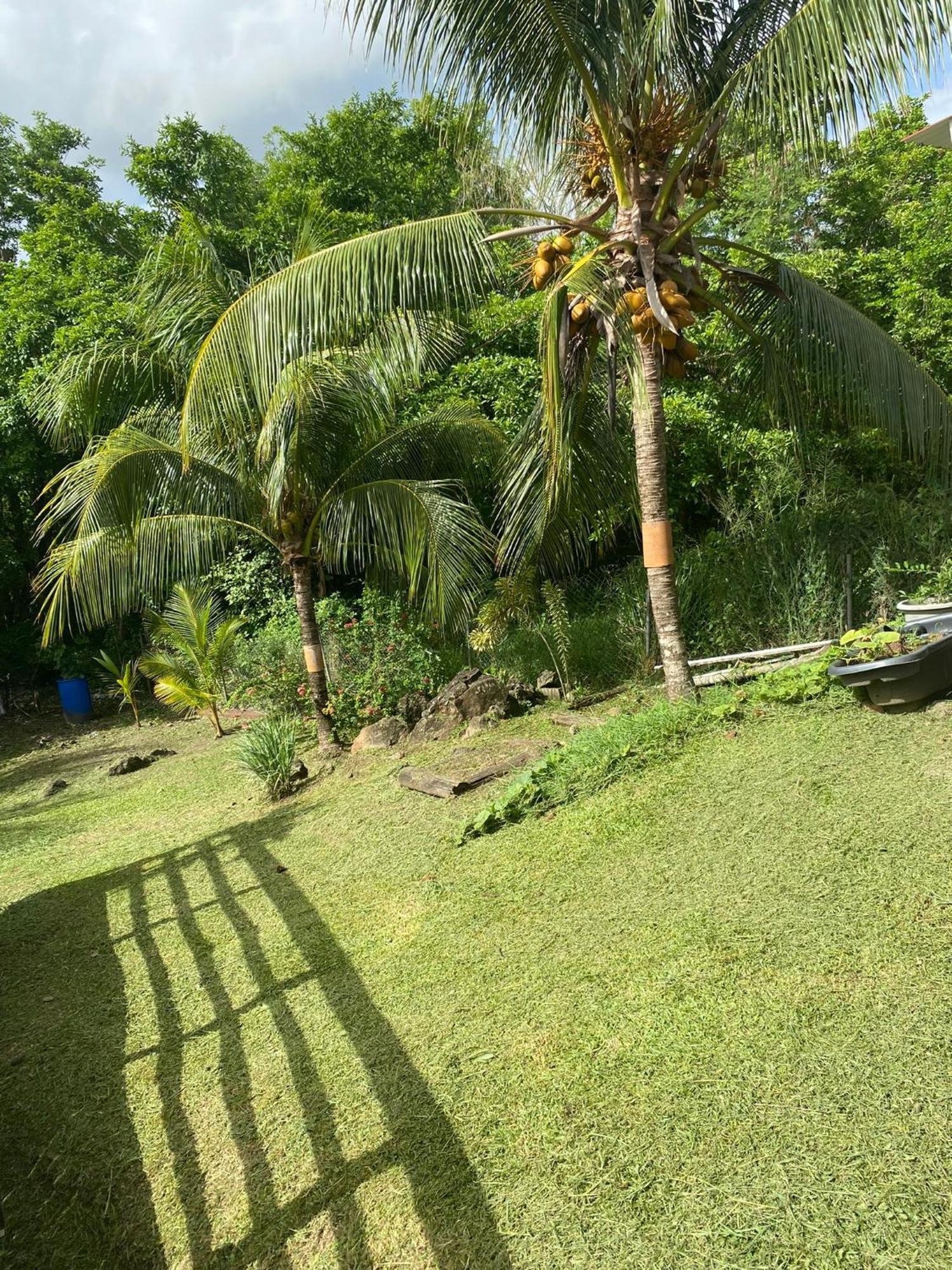 Residence Cannelle Les Trois-Ilets Ngoại thất bức ảnh